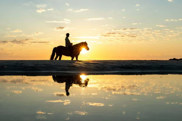 Horse Riding Tours in Hurghada